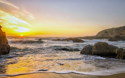 Top 7 Most Instagrammable Spots in Bodega Bay