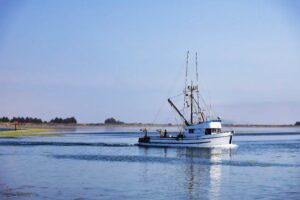 Bodega Bay