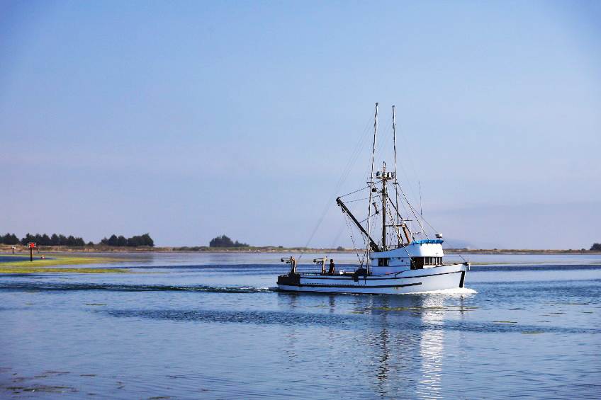 Bodega Bay