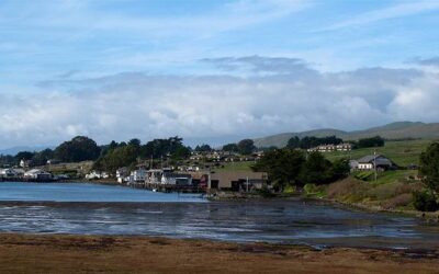 10 Fun Facts About Bodega Bay