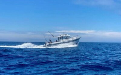Fishing In Bodega Bay and Sonoma County