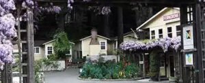 Fern Grove Cottages