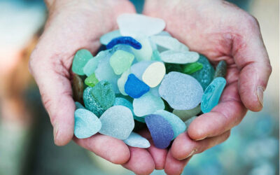Beach Glass In Bodega Bay