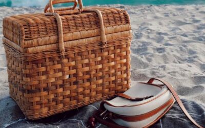 Sonoma County Picnics