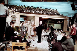 The Birds