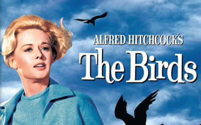 The Birds