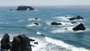 Sonoma Coast Beaches