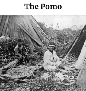 Pomo