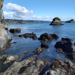 Exploring the Tide Pools of the Sonoma Coast