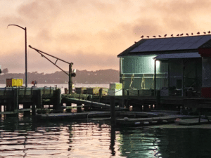 Bodega Bay Sunset