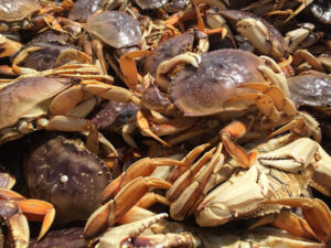 CRAB FEEDS 2024