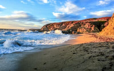 Sustainable Tourism in Bodega Bay: Preserving the Beauty of the Coast