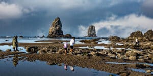 Stewardship Saturday: Investigating Tidepools for Ocean Health