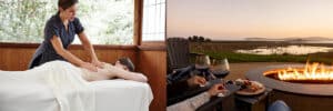 Bodega Bay Day Trip