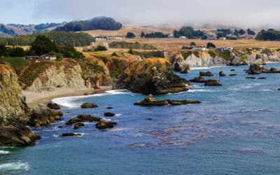 A Day Trip Itinerary for Bodega Bay: How to Make the Most of Your Visit