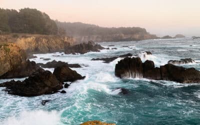 Bodega Bay in June: A Coastal Paradise of Adventure, Relaxation, and Cultural Richness
