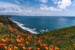 A Photographic Journey Through Bodega Bay's Stunning Landscapes