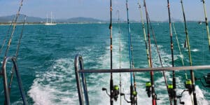 Exploring Bodega Bay’s Fishing Haven: A Comprehensive Guide