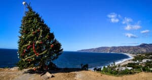 Spending the Holiday Season in Bodega Bay: A Coastal Winter Wonderland