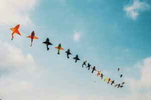Go Fly a Kite