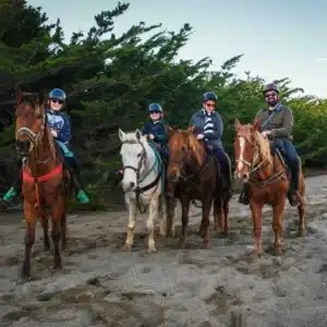 Horse N Around Trail Rides