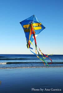 Bodega Bay Kites