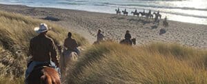 Horse N Around Trail Rides