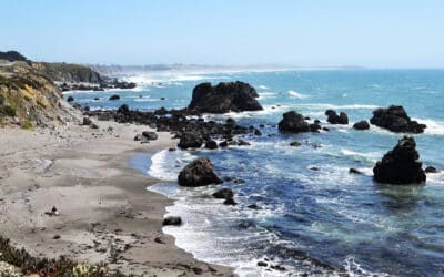 Perfect 3-Day Itinerary for Exploring Bodega Bay