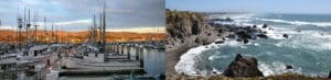 Attractions In Bodega Bay