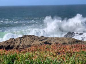 September In Bodega Bay