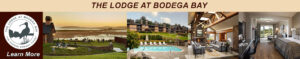 Lodge at Bodega Bay
