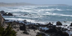September In Bodega Bay