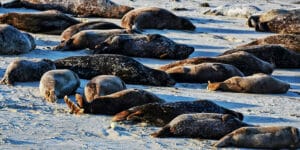 September In Bodega Bay