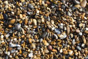 Rock Hunting at Bodega Bay: Nature’s Pocket-Sized Art Gallery