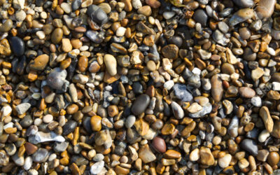 Rock Hunting at Bodega Bay: Nature’s Pocket-Sized Art Gallery