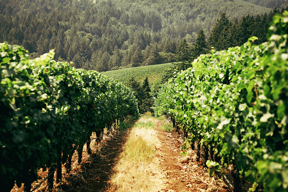 Why Bodega Bay Is a Great Place to Live - Just Ask the Locals.