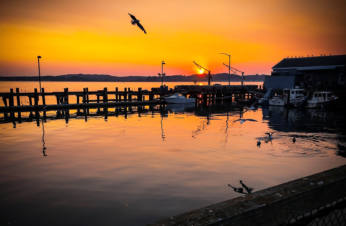 Why Bodega Bay Is a Great Place to Live - Just Ask the Locals.