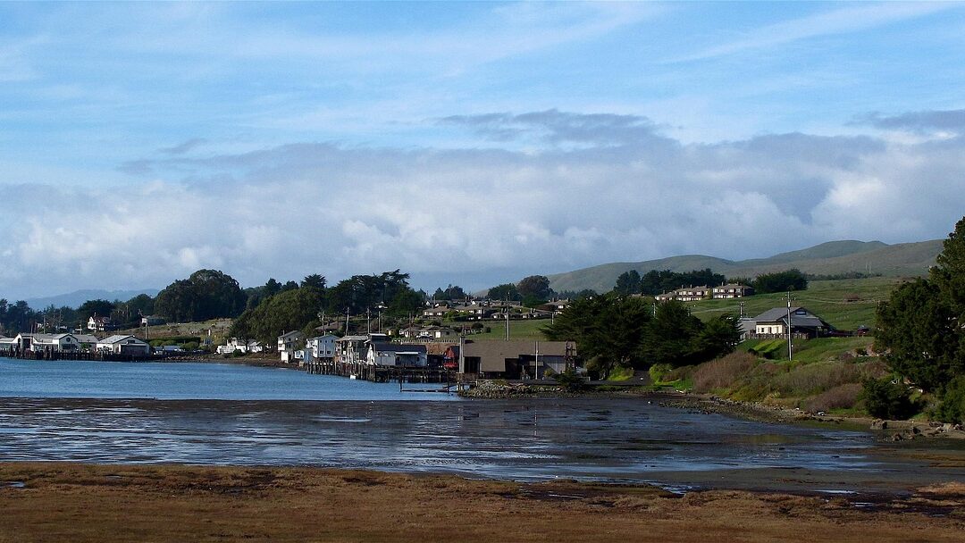 Why Bodega Bay Is a Great Place to Live – Just Ask the Locals