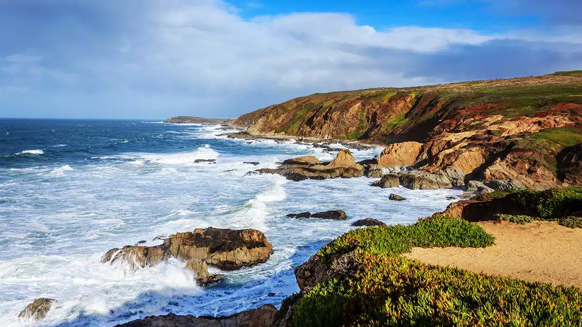 Bodega Head