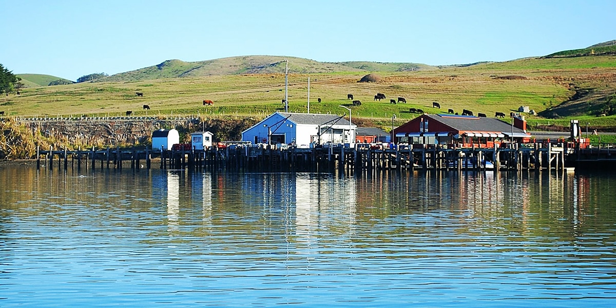 Bodega Bay Just Is What It Is