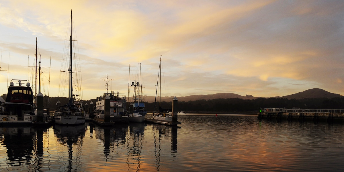 Bodega Bay Just Is What It Is