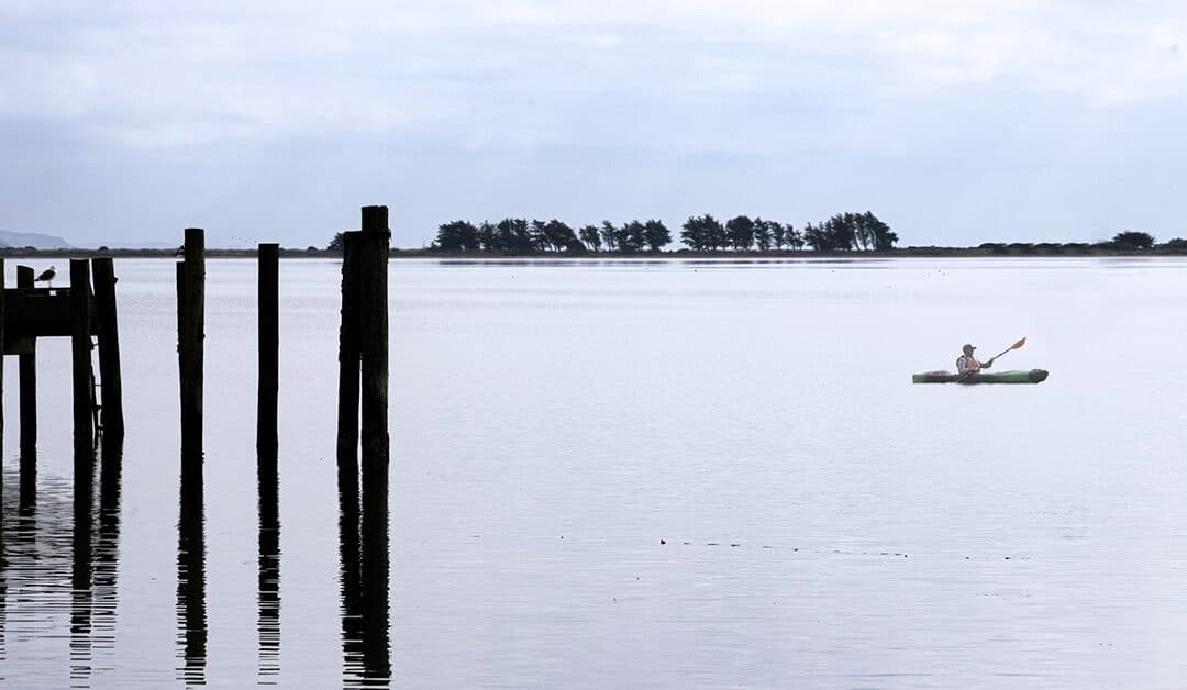 Bodega Bay Just Is What It Is