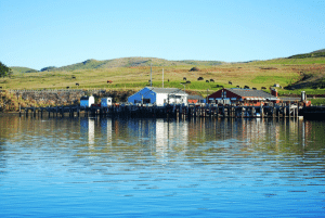 A Photographer's Guide to the Sonoma Coast: Bodega Bay and Beyond