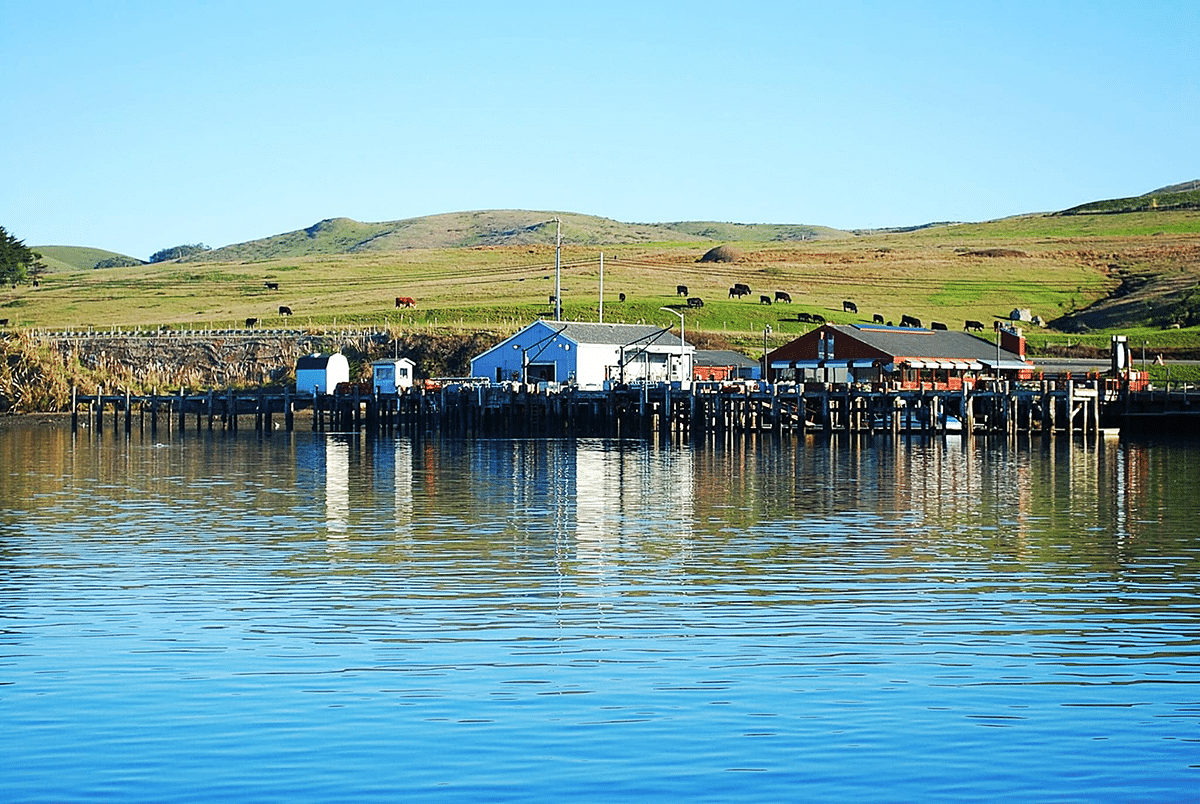 A Photographer's Guide to the Sonoma Coast: Bodega Bay and Beyond