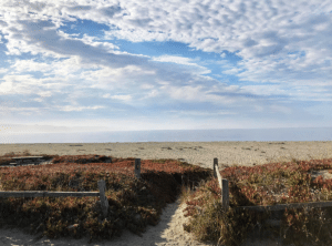 A Photographer's Guide to the Sonoma Coast: Bodega Bay and Beyond