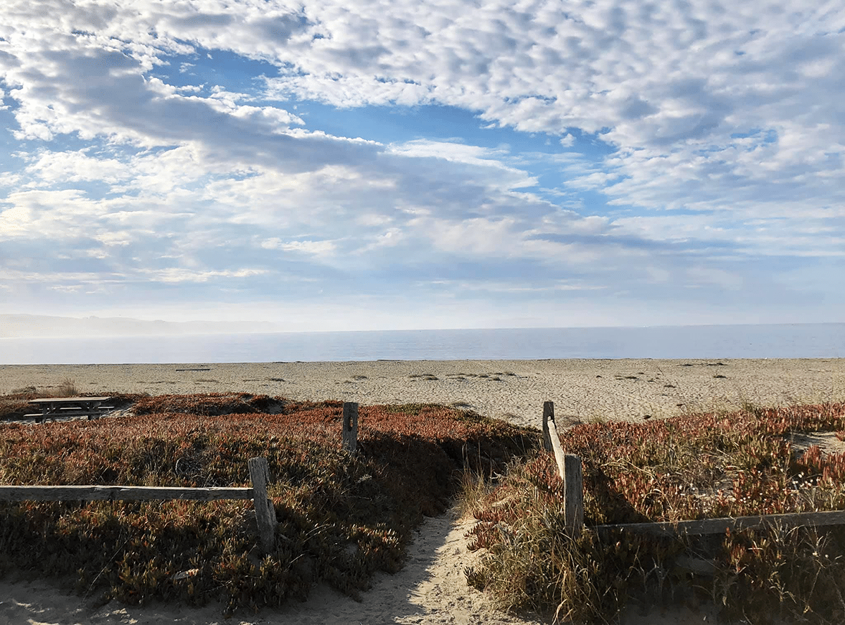 A Photographer's Guide to the Sonoma Coast: Bodega Bay and Beyond