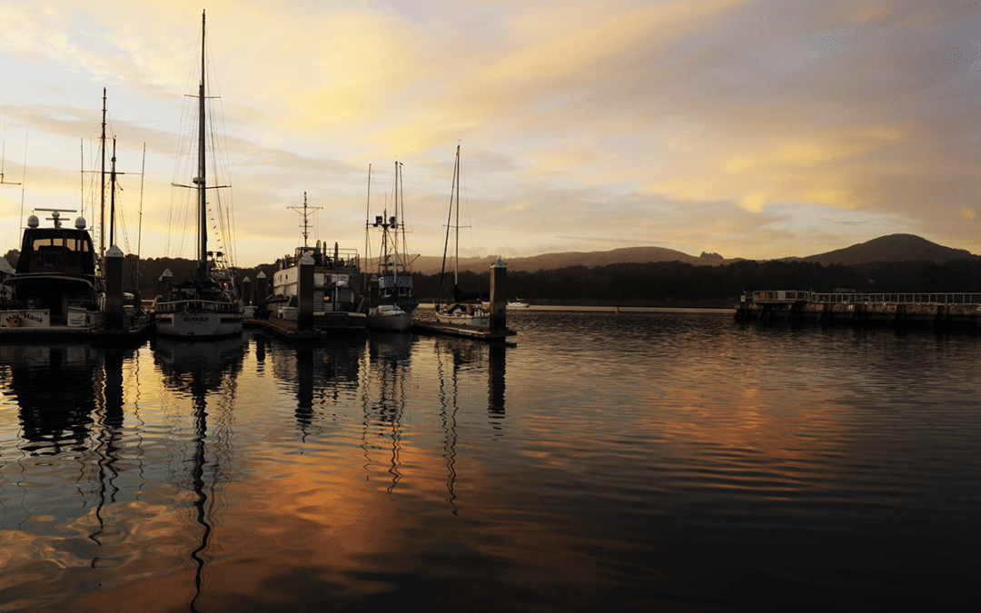 A Photographer’s Guide to the Sonoma Coast: Bodega Bay and Beyond
