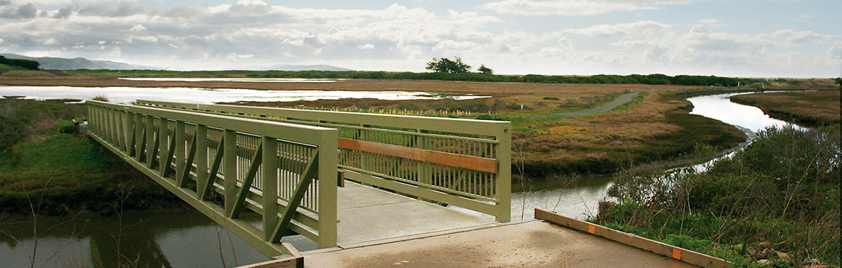 he Bird Walk Coastal Access Trail overlooking the saltwater marsh in Bodega Bay.