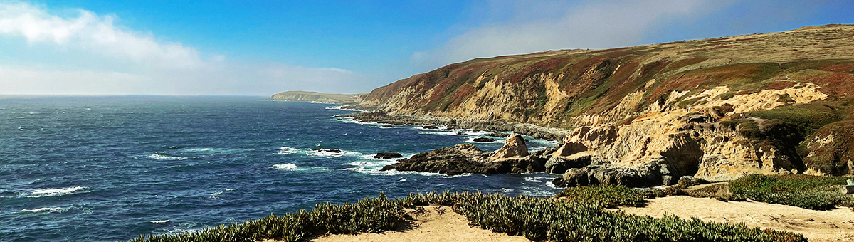 Bodega Head