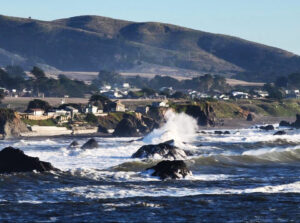 A Coastal Rhythm: The Perfect Slow Day in Bodega Bay